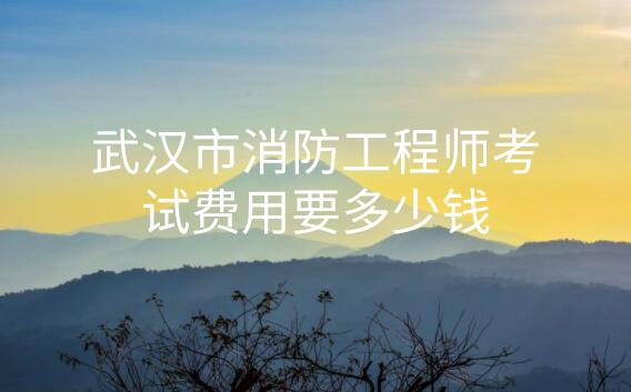 武汉市消防工程师考试费用
